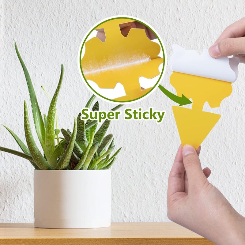 Dwcom Trap 40 Pack Fungus Gnat Traps for House Indoor, Fungus Traps Fruit Fly Traps for Indoors Gnats Sticky Traps for Plants Yellow Sticky Traps for Gnats - Image 5